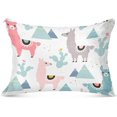 thumbnail image 1 of GZHJMY Cute Colorful Alpaca Zippered Velvet Pillowcases,Super Soft and Cozy Luxury Plush Pillow Case Bed Pillow Pillowcases,King Size 20x40 in Home Decor, 1 of 7