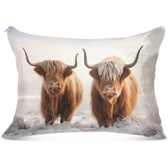 GZHJMY Cute Highland Cattle Body Pillow Cover with Zipper, Soft and Cozy Fuzzy Fleece Body Pillow Case Cover 21 x 54 in,Plush Long Body Pillow Pillowcase Home Decor
