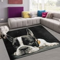thumbnail image 1 of GZHJMY Dog Animal Non Slip Area Rug for Living Dinning Room Bedroom Kitchen, 1.7 ' x 2.6'(20 x 31 Inches / 50 x 80 cm), Dog Animal Nursery Rug Floor Carpet Yoga Mat, 1 of 6