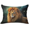 thumbnail image 1 of GZHJMY Fierce Lion Body Pillow Cover with Zipper,Soft and Cozy Fuzzy Fleece Body Pillow Case Cover 21 x 54 in,Plush Long Body Pillow Pillowcase for Fall and Winter Home Decor, 1 of 7