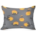 thumbnail image 1 of GZHJMY Halloween Cat with Pumpkin Pillowcase Plush Pillowcase for Hair and Skin, Soft Standard Size Pillow Cases Zippered Queen Pillow Case Set of 1-20x40in Home Decor, 1 of 7