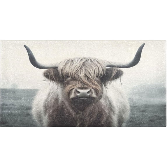 GZHJMY Highland Cow Kitchen Mat Soft and Absorbent Bath Mats for Bathroom Non Slip Quick Dry Shaggy Bath Carpet Machine Wash for Kitchen Bathroom Shower Home Decor 39x20 in