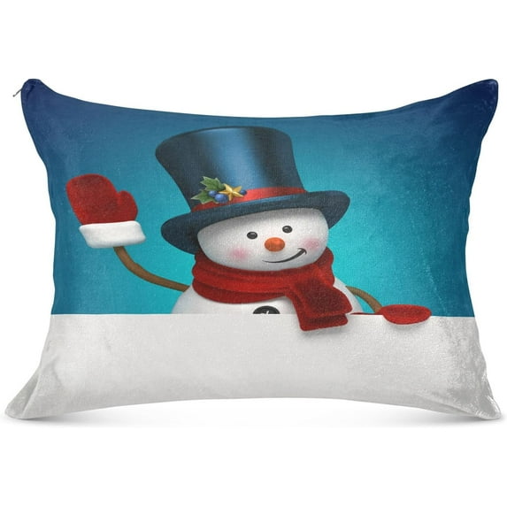 GZHJMY Snowman Night Zippered Velvet Pillowcases,Super Soft and Cozy Luxury Plush Pillow Case Bed Pillow Pillowcases, 20x30 Inches Home Decor