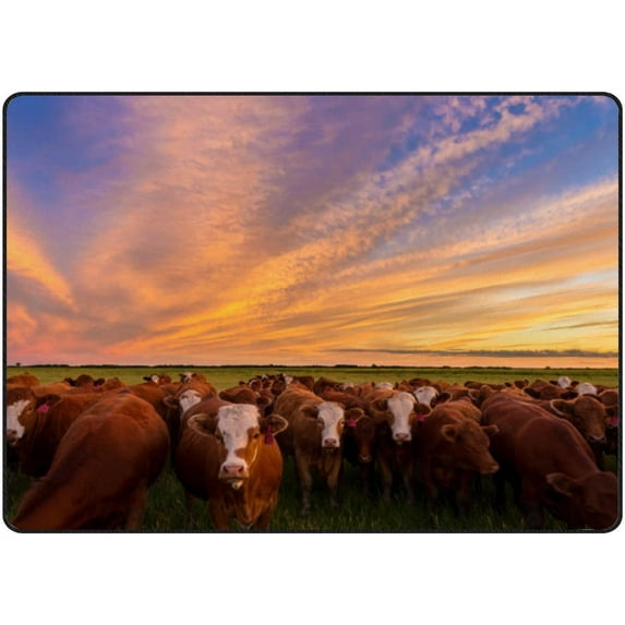 GZHJMY Soft Foam Nursery Area Rugs Cattle Grazing in The Pasture at Sunset Non Slip Play Mats for Kids Boys Girls Playing Room Living Room60x39 inch Carpet Runner