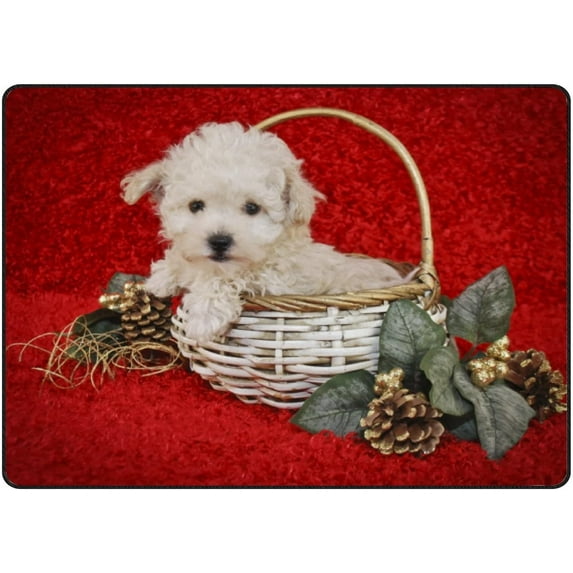 GZHJMY Soft Rug Large Area Rugs, White Puppy Christmas Comfortable Indoor Carpet, Baby Play Mat for Living Room Bedroom Nursery Decor Floor Mat 63x48inch Carpet Runner