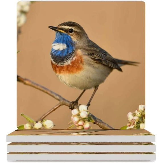 GZHJMY Square Drink Coasters 2 Pcs Bluethroat Bird Close Up Absorbent Ceramic Coffee Coasters for Drinks with Cork Base Housewarming Gift for Home Decor