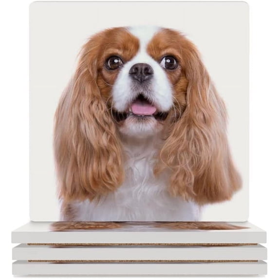 GZHJMY Square Drink Coasters, 6 Pcs Beautiful Spaniel Dog on White Absorbent Ceramic Coffee Coasters for Drinks with Cork Base Housewarming Gift for Home Decor