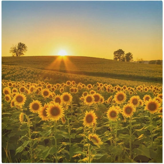 GZHJMY Sunflower Cloth Napkins Set of 1, Reusable Washable Polyester Dinner Napkins for Family, Restaurant, Wedding, Party Decor 20 x 20 Inch