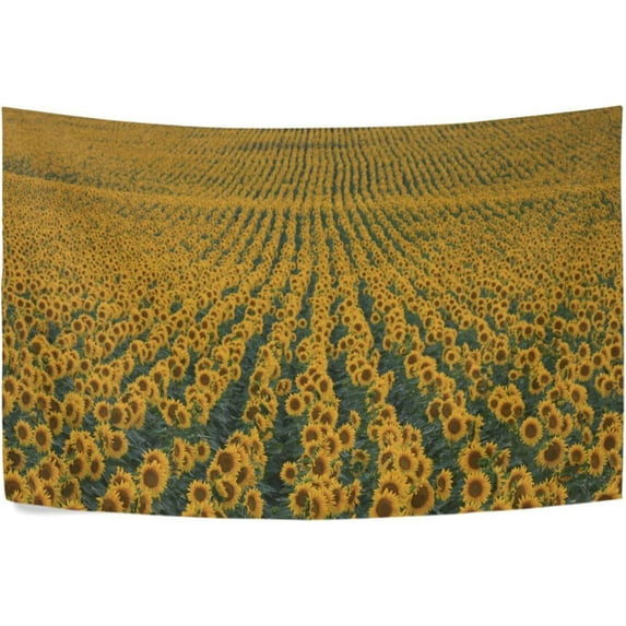 GZHJMY Sunflower Fields Art Tapestry Aesthetic Tapestry for Bedroom Living Room Classroom Dorm 90" x 60" Inches Gift Decor