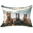 thumbnail image 1 of GZHJMY Three Horses Plush Pillow Case,Zippered Bed Pillow Pillowcases,Super Soft and Cozy Pillowcase Covers for Sleep - Queen Size 20x30in Home Decor, 1 of 7