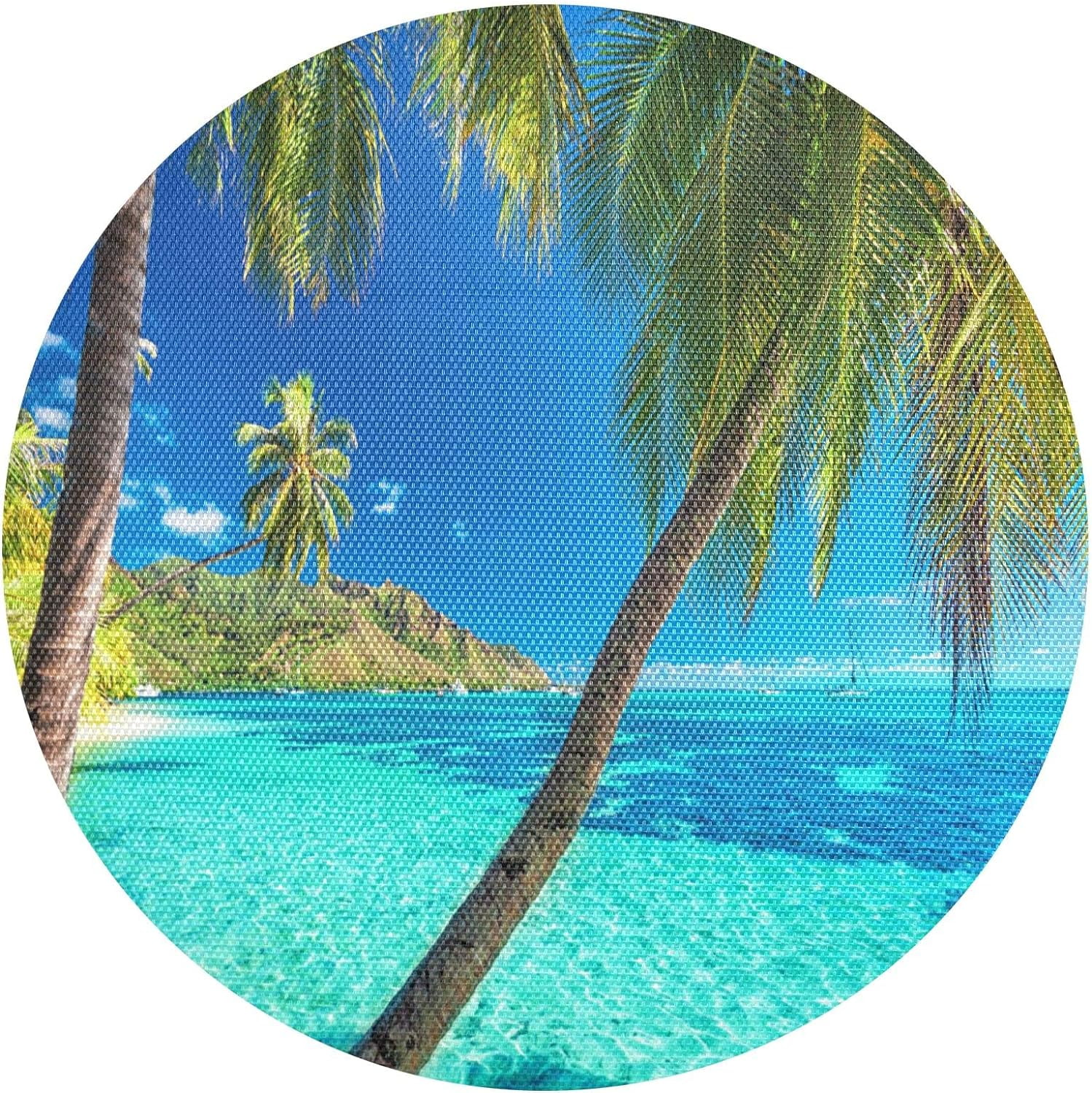 GZHJMY Tropical Beach Palm Trees Round Placemats for Dining Table Set