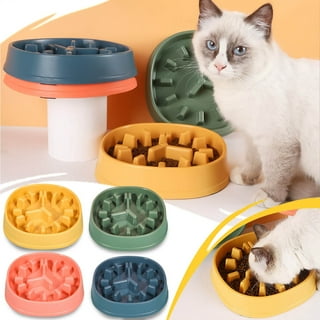 Slow Down Cat Eating