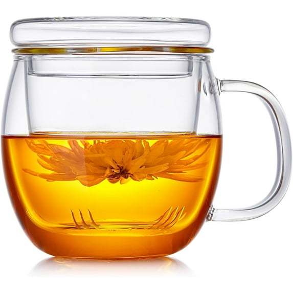 GZhLonKiMa Glass Tea Cup with Infuser and Lid 17 fl oz, Heat Resistant Borosilicate Glass, Tea Infuser Mug for Blooming and Loose Leaf Tea, Gas Stovetop Safe