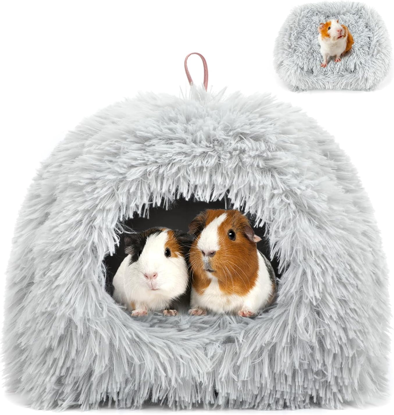 Stunning Guinea Pig Ultra Soothing Environments image