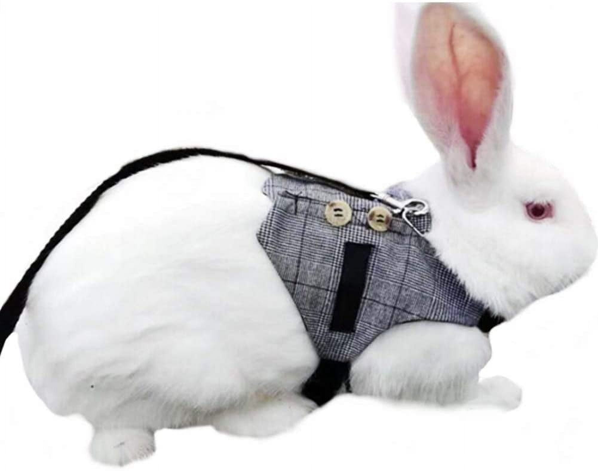 GZhLonKiMa Multipurpose Rabbit Vest Harness and Leash Set Small Animal ...
