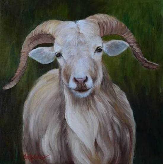 Gabby the Goat Canvas Art - Cheri Wollenberg (24 x 24)