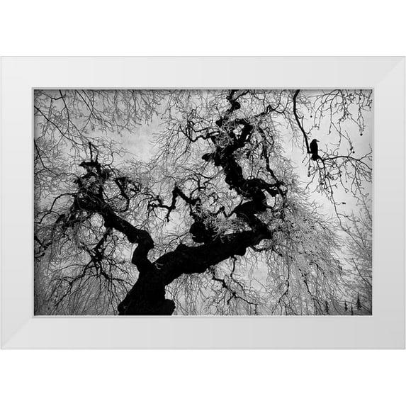 Gabor, Nicoleta 24x17 White Modern Wood Framed Museum Art Print Titled - if on a winters day