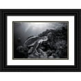 thumbnail image 1 of Gabriel, Barathieu 14x11 Black Ornate Wood Framed with Double Matting Museum Art Print Titled - Green Turtle In Black And White, 1 of 4