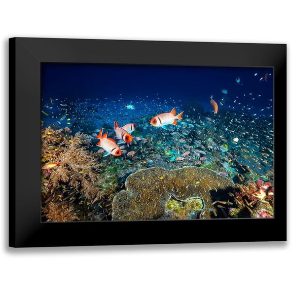 Gabriel, Barathieu 18x13 Black Modern Framed Museum Art Print Titled - Reef Life