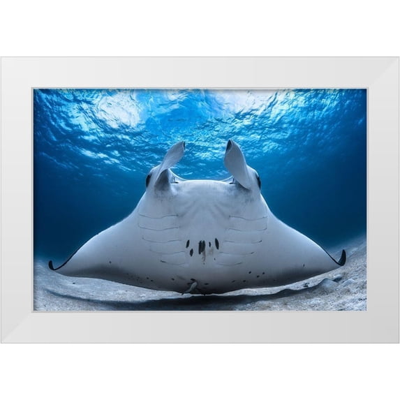 Gabriel, Barathieu 18x13 White Modern Wood Framed Museum Art Print Titled - Take Off / Manta Airline