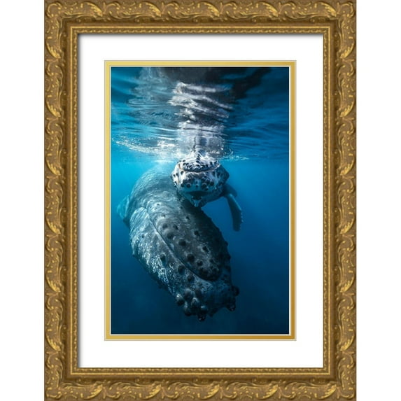 Gabriel, Barathieu 23x32 Gold Ornate Wood Framed with Double Matting Museum Art Print Titled - Humpback Whale And Calf