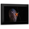 thumbnail image 1 of Gabriel, Barathieu 24x17 Black Modern Framed Museum Art Print Titled - Cleaning Session, 1 of 5
