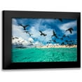 thumbnail image 1 of Gabriel, Barathieu 24x17 Black Modern Framed Museum Art Print Titled - Ocean Bird, 1 of 5
