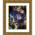 thumbnail image 1 of Gabriel, Barathieu 25x32 Gold Ornate Wood Framed with Double Matting Museum Art Print Titled - Baby Cuttlefish, 1 of 4