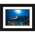 thumbnail image 1 of Gabriel, Barathieu 32x23 Black Ornate Wood Framed with Double Matting Museum Art Print Titled - Sunlight And Green Turtle, 1 of 4