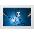 thumbnail image 1 of Gabriel, Barathieu 32x23 White Modern Wood Framed Museum Art Print Titled - Hammerhead Shark, 1 of 4