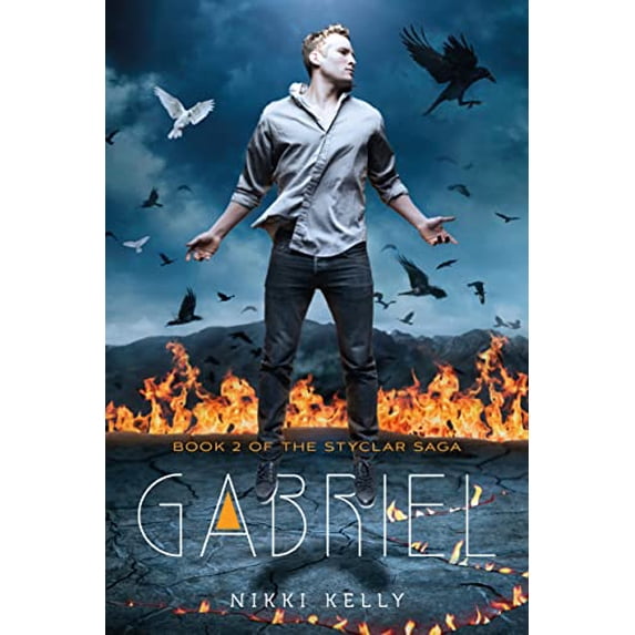 Pre-Owned Gabriel: Book 2 of the Styclar Saga (Hardcover) 1250051533 9781250051530