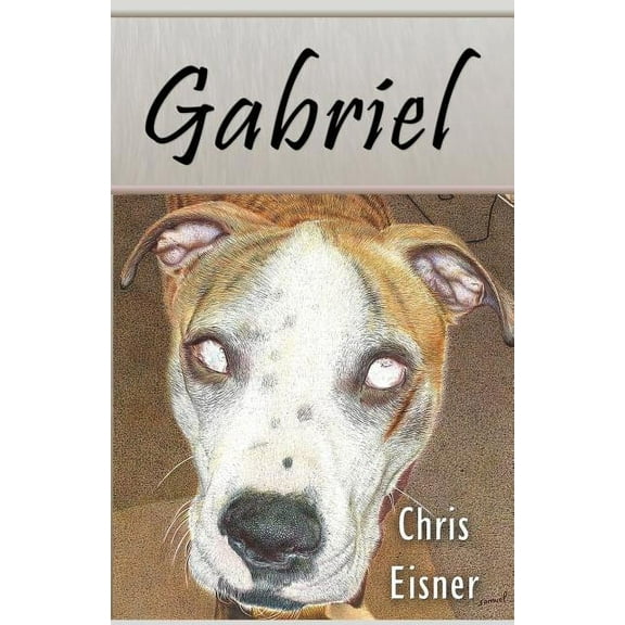 Gabriel (Paperback)