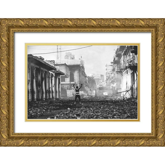 Gabriel99 24x17 Gold Ornate Wood Framed with Double Matting Museum Art Print Titled - Resilience