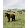 thumbnail image 1 of Gaderth Galvanized Farm Fence,Galvanized Wire Fencing Heavy Zinc Coating Cattle Panel For Sheep Dog Panel Plant Garden Flower Bed And Field Protection, 1 of 6