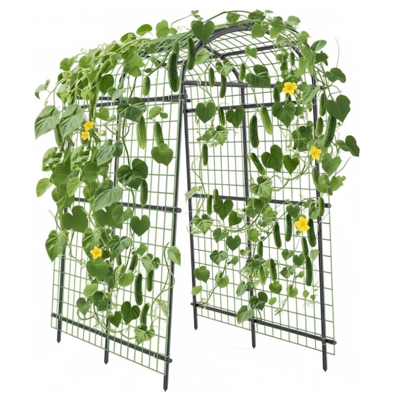 Gaderth Garden Cucumber Trellis for Raised Bed, U-Shape Garden Trellis for Climbing Plants, Metal Arch Vegetables Trellis, Plant Support for Grape Vine Tomato Vegetable Pea Bean