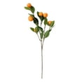thumbnail image 1 of GadgetVLot 1Pcs Artificial Tangerine Branch Lemon Simulation Imitation Plant 63Cm Fruit Plants Home Decor Realistic Rattan Fake Flower 6 Fruits, 1 of 10