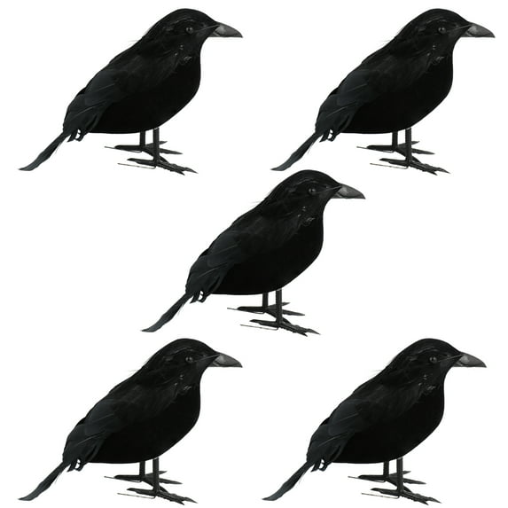 GadgetVLot 5Pcs Simulation Black Crow Toy Party Supplies Halloween Prop Animal Model
