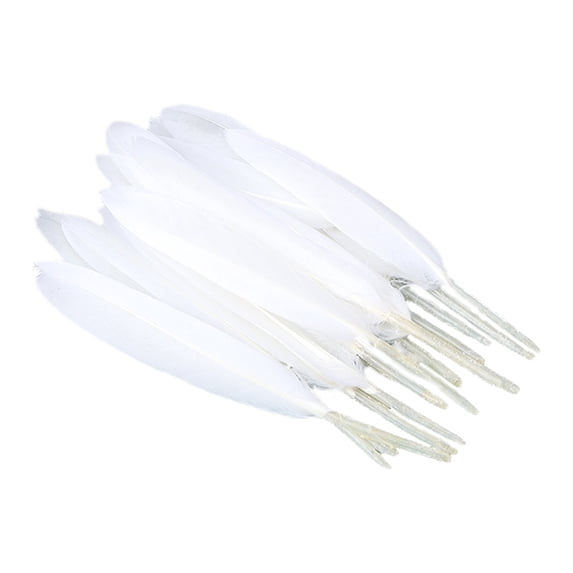 GadgetVLot Diy Craft Feathers For Wedding Party Clothing Decor Plume 50Pcs Perfect Gift Home Decoration Plume