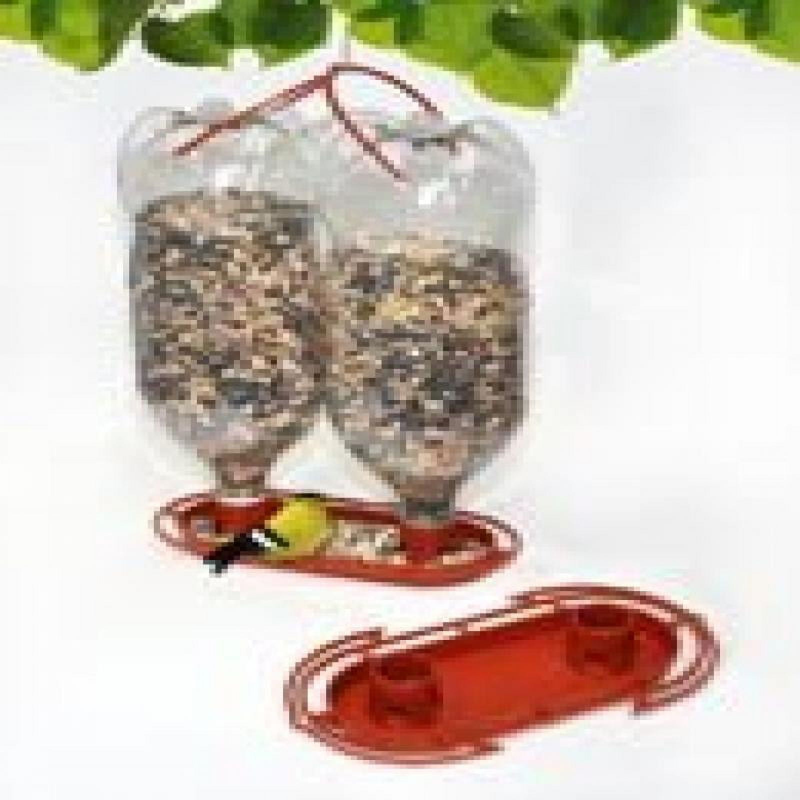 Gadjit Soda Bottle Jumbo Wild Bird Feeder kits (Terra Cotta, Pack of 2