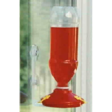 Gadjit Window Hummingbird Bird Feeder