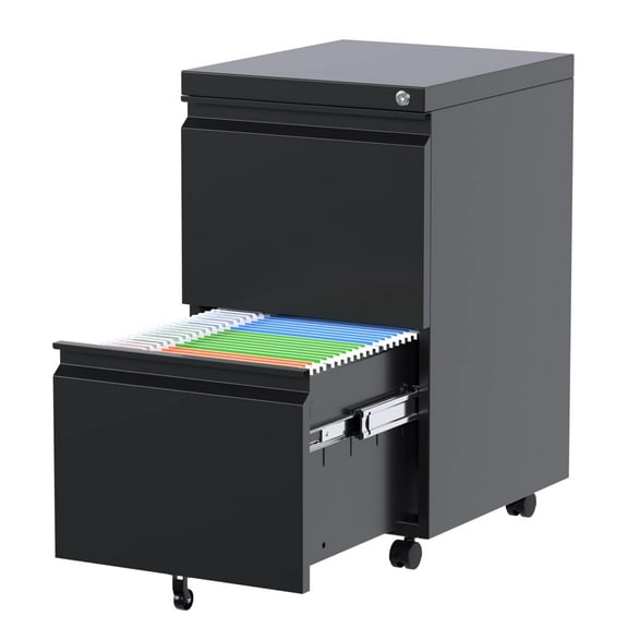 Gaeanet 2 Drawer File Cabinet, Lockable Metal Filing Cabinet with Wheels for Home Office, Legal/Letter Size, Black,Fully Assembled Except Wheels