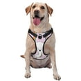 thumbnail image 1 of Gaeub Aerial Yoga for Unicorn Gaeub Aerial Yoga for Unicorn No Pull Dog Harness, Secure and Adjustable Pet Vest for Outdoor Activities - Medium, 1 of 8