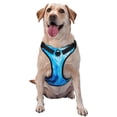thumbnail image 1 of Gaeub Blue Shell Gaeub Blue Shell No Pull Dog Harness, Secure and Adjustable Pet Vest for Outdoor Activities - Large, 1 of 8