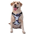 thumbnail image 1 of Gaeub Butterflies Gaeub Butterflies No Pull Dog Harness, Secure and Adjustable Pet Vest for Outdoor Activities - Medium, 1 of 8