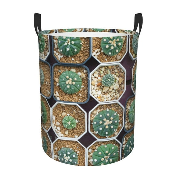 Gaeub Cactus Garden Dirty Clothes Storage Basket, Toy Storage Bin for Storing Clothing, Diapers, Toys-Medium