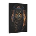 thumbnail image 1 of Gaeub Classical Style Brown Owl Print Canvas Wall Art for Bathrooms Bedroom,Wall Decor,Framed Artwork for Wall,Modern Wall Decorations Prints Picture,Home Decor Wall Pictures 30" x 40", 1 of 8