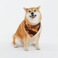 Gaeub Cool Fire Man Dog Bandanas,Pet Scarf Washable Dog Scarves Dog