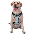thumbnail image 1 of Gaeub Dog Pets Gaeub Dog Pets No Pull Dog Harness, Secure and Adjustable Pet Vest for Outdoor Activities - Large, 1 of 8
