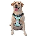thumbnail image 1 of Gaeub Dragonfly Floral Gaeub Dragonfly Floral No Pull Dog Harness, Secure and Adjustable Pet Vest for Outdoor Activities - Medium, 1 of 9