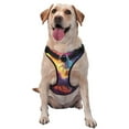 thumbnail image 1 of Gaeub Dreamy Night Sky White Horse Print No Pull Dog Harness for Medium Dogs, Dog Vest Harness with Leash and Reflective Strip, Adjustable Harne-Large, 1 of 6